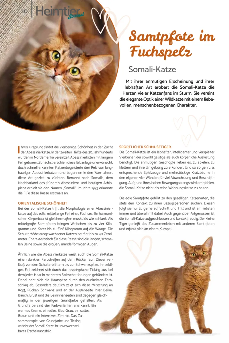 Zookauf Prospekt vom 01.02.2026, Seite 10