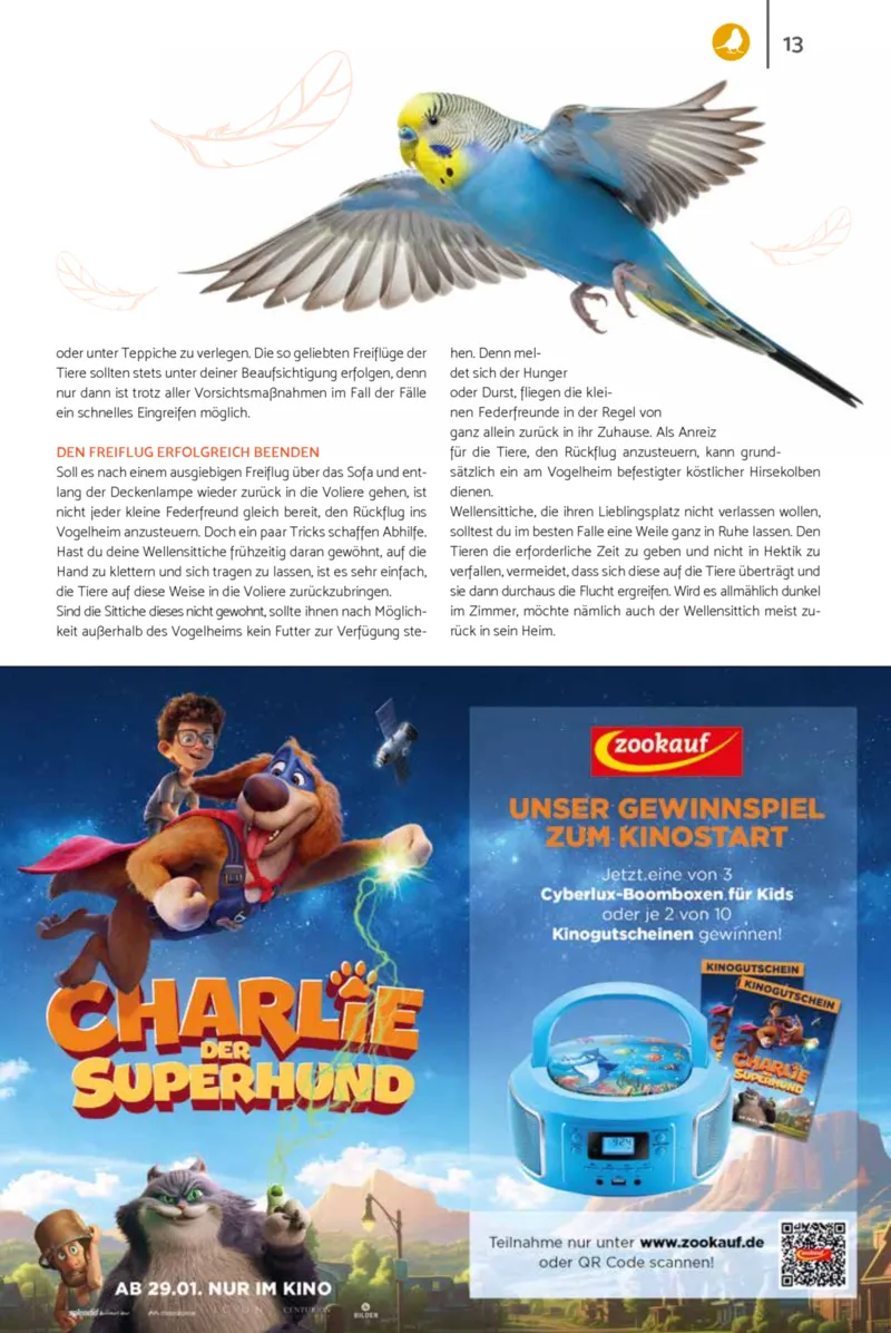 Zookauf Prospekt vom 01.02.2026, Seite 13