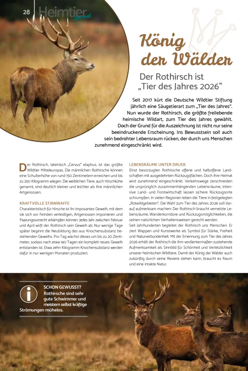 Zookauf Prospekt vom 01.02.2026, Seite 28