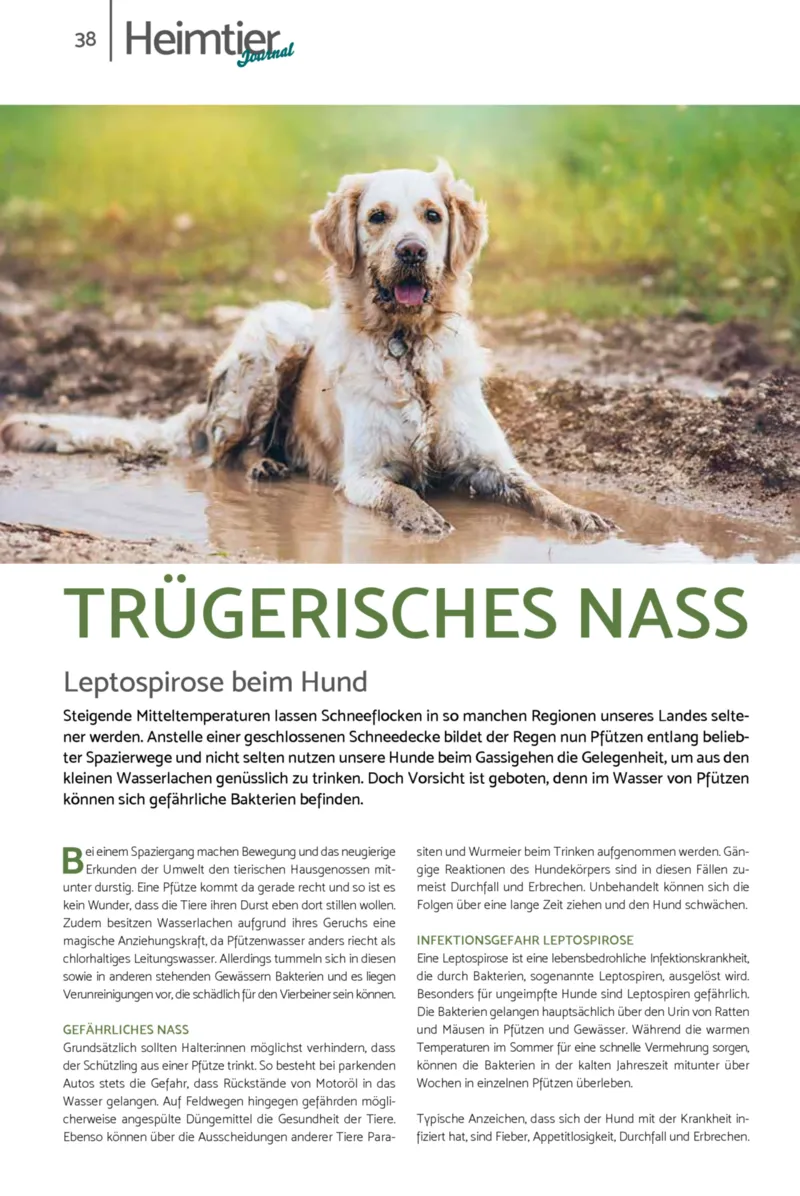 Zookauf Prospekt vom 01.02.2026, Seite 38