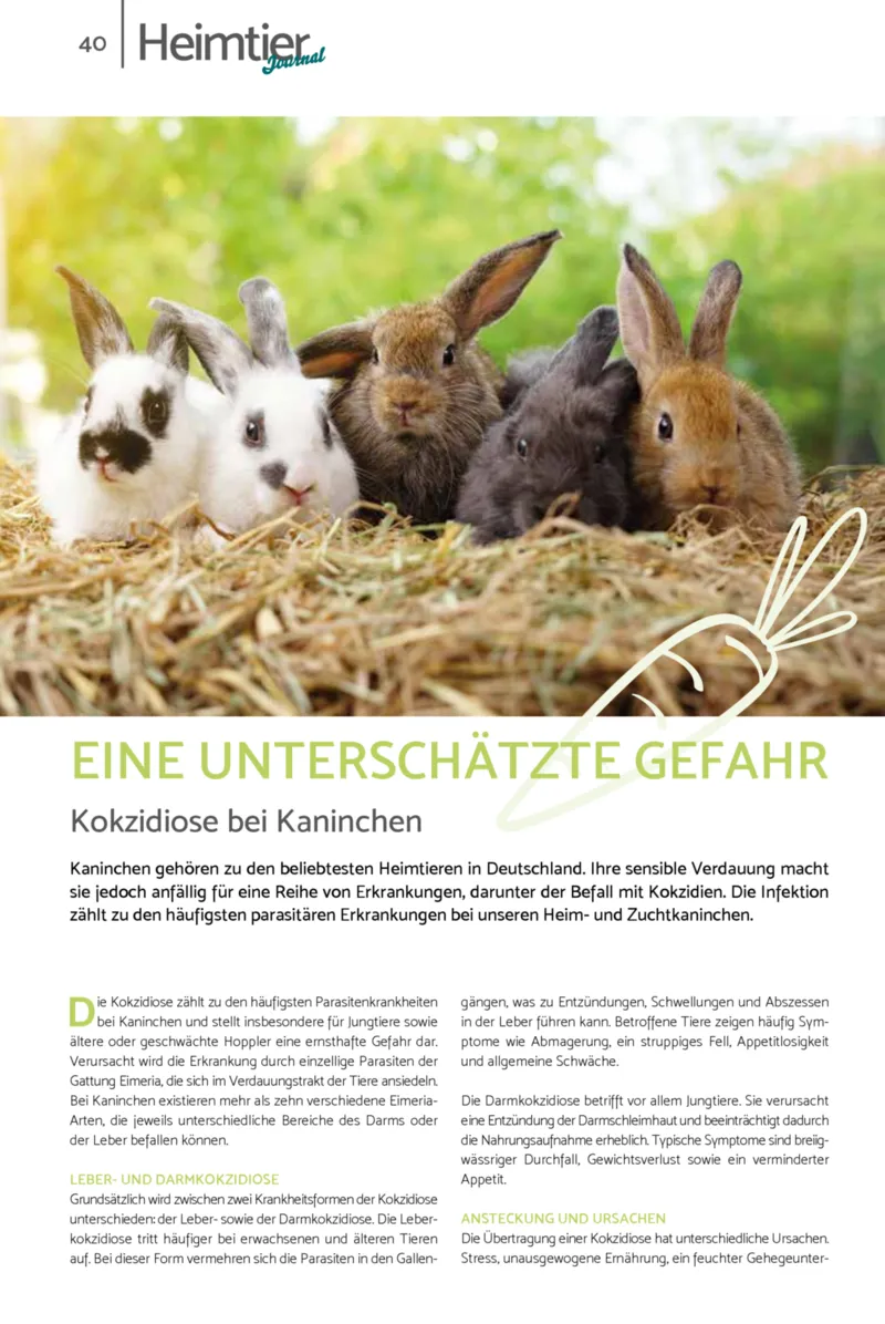 Zookauf Prospekt vom 01.02.2026, Seite 40