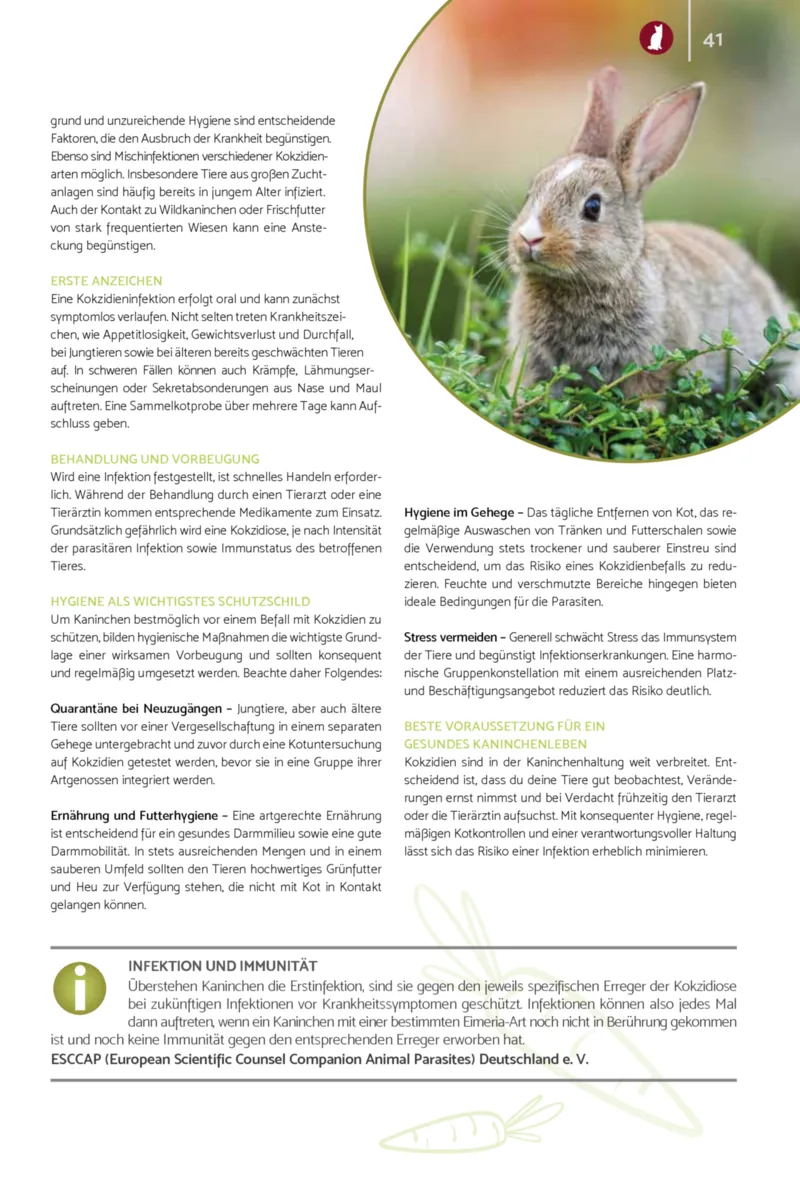 Zookauf Prospekt vom 01.02.2026, Seite 41