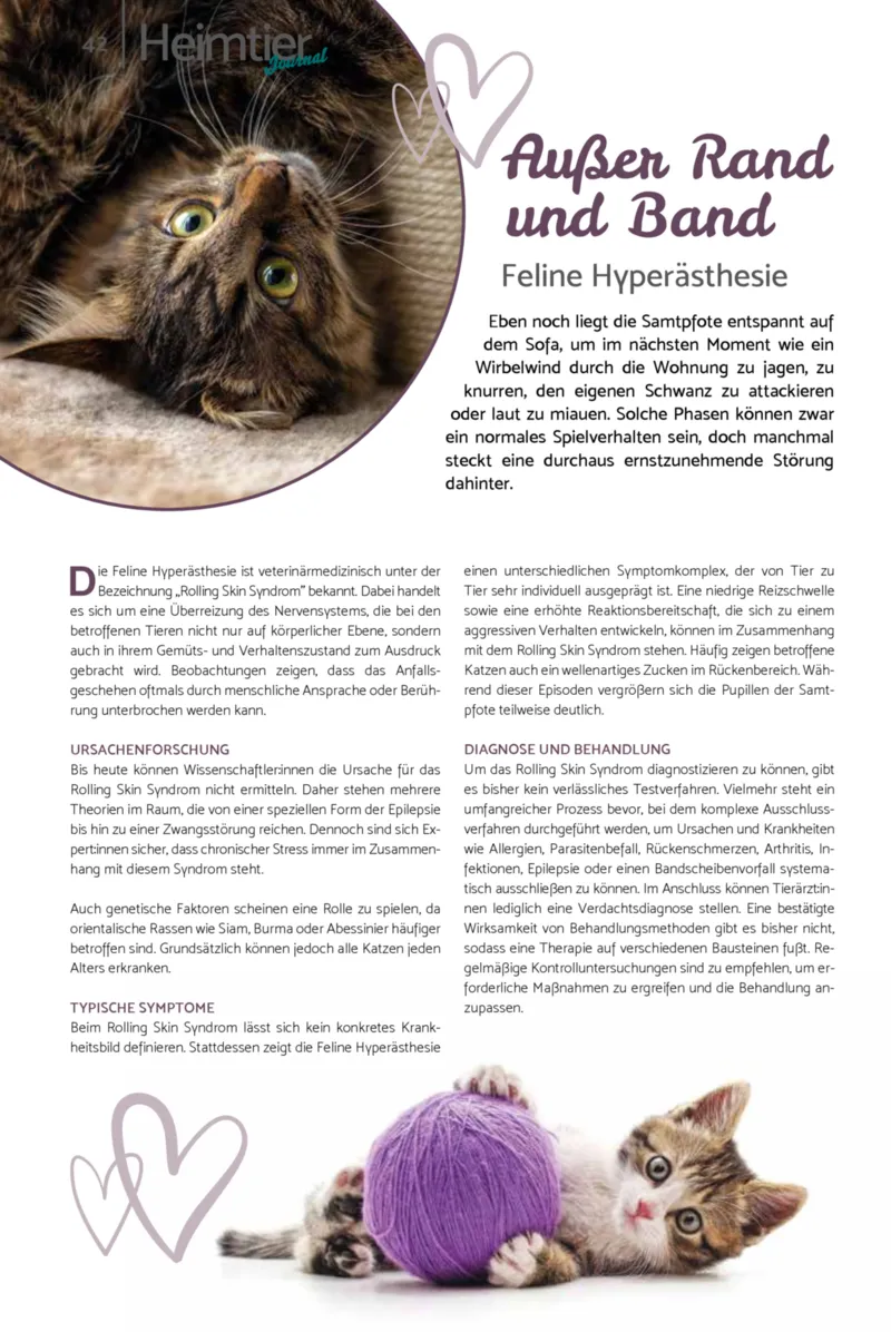 Zookauf Prospekt vom 01.02.2026, Seite 42