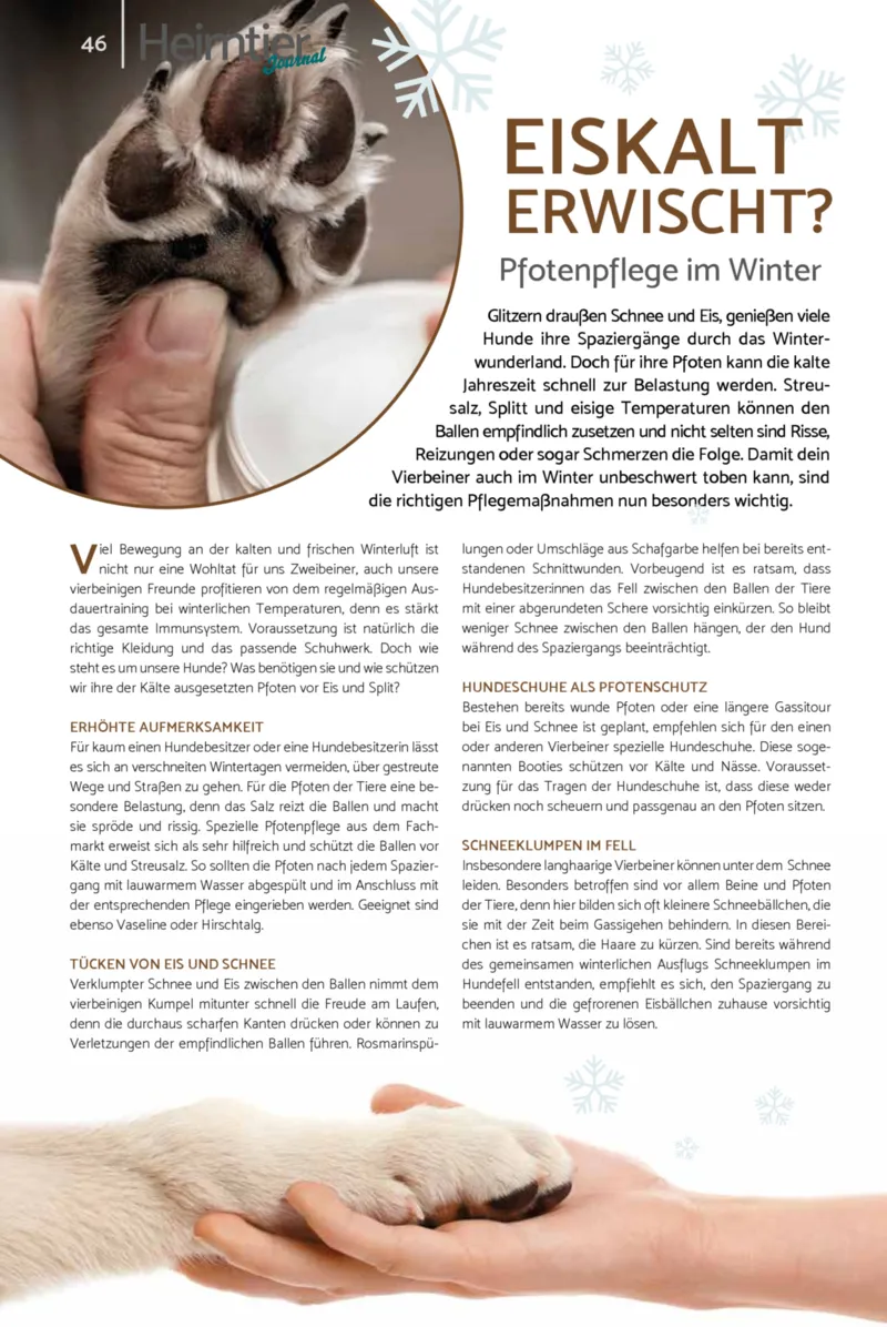 Zookauf Prospekt vom 01.02.2026, Seite 46