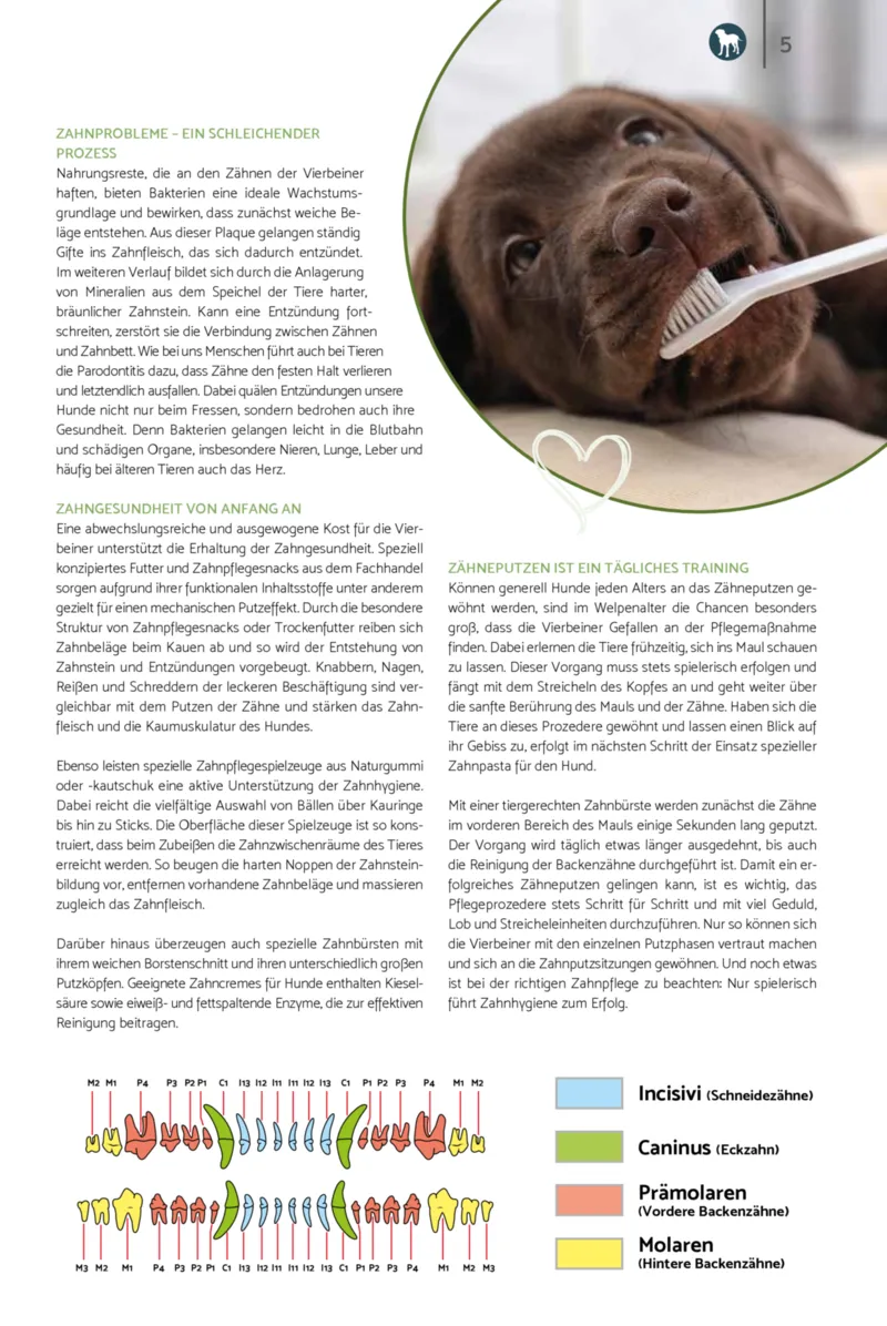 Zookauf Prospekt vom 01.02.2026, Seite 5