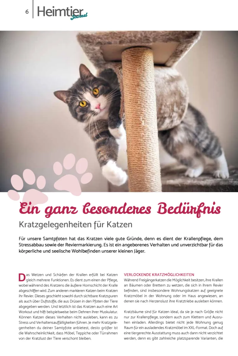 Zookauf Prospekt vom 01.02.2026, Seite 6