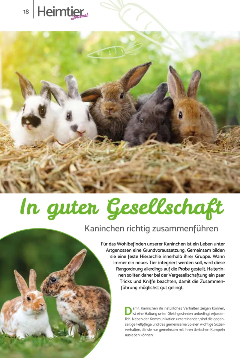 Zookauf Prospekt vom 23.03.2026, Seite 18