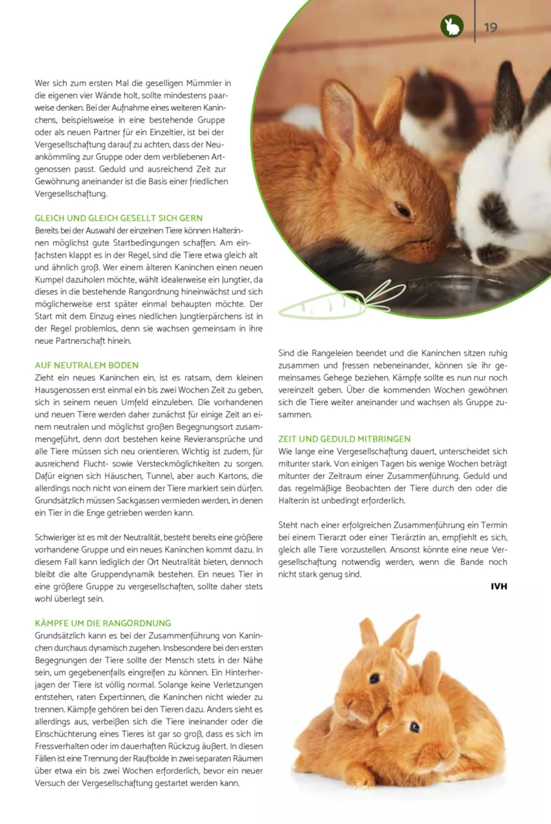 Zookauf Prospekt vom 23.03.2026, Seite 19