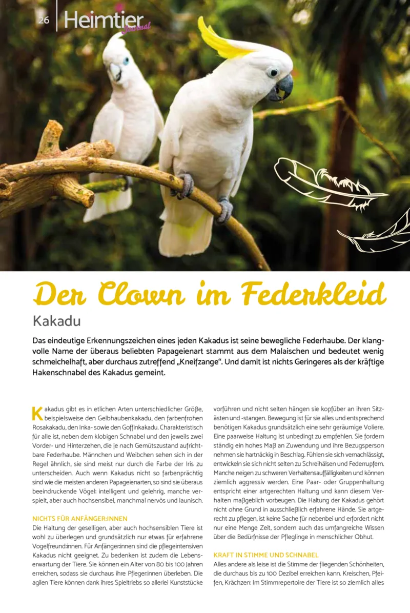 Zookauf Prospekt vom 23.03.2026, Seite 26