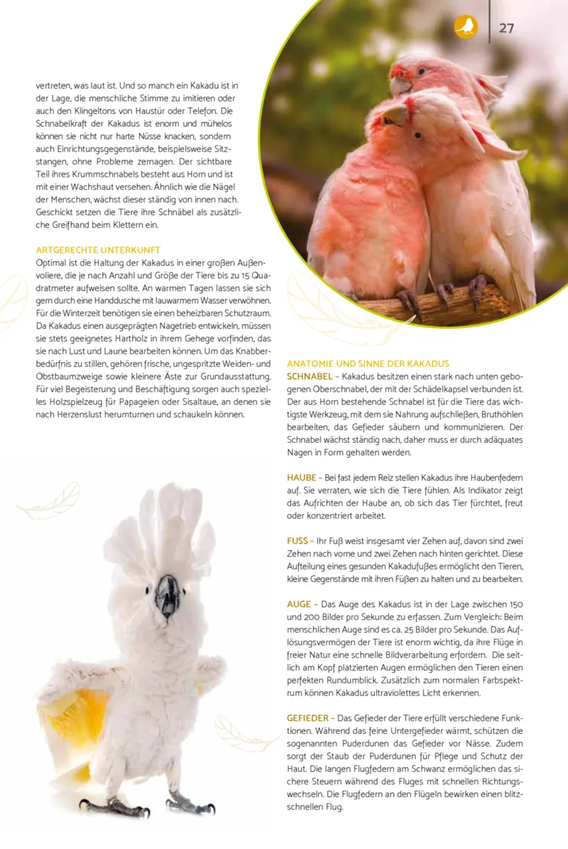 Zookauf Prospekt vom 23.03.2026, Seite 27