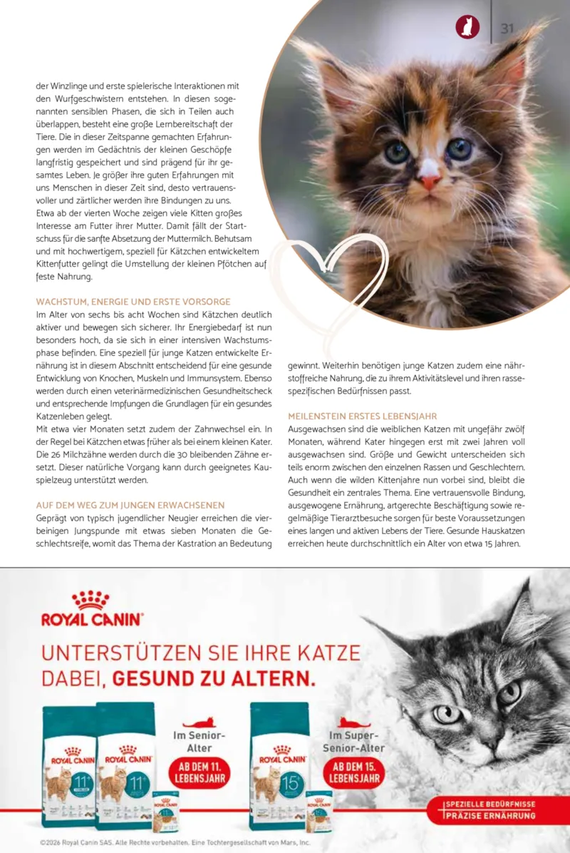 Zookauf Prospekt vom 23.03.2026, Seite 31