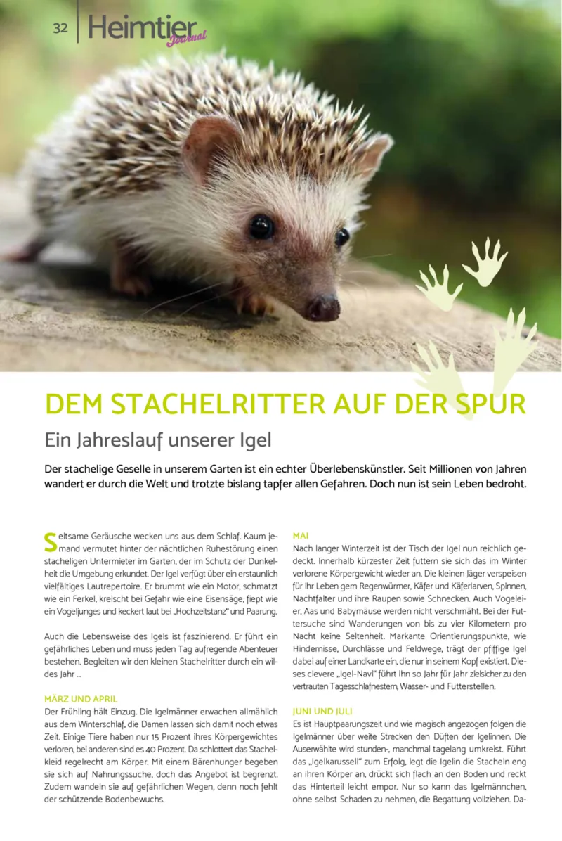 Zookauf Prospekt vom 23.03.2026, Seite 32