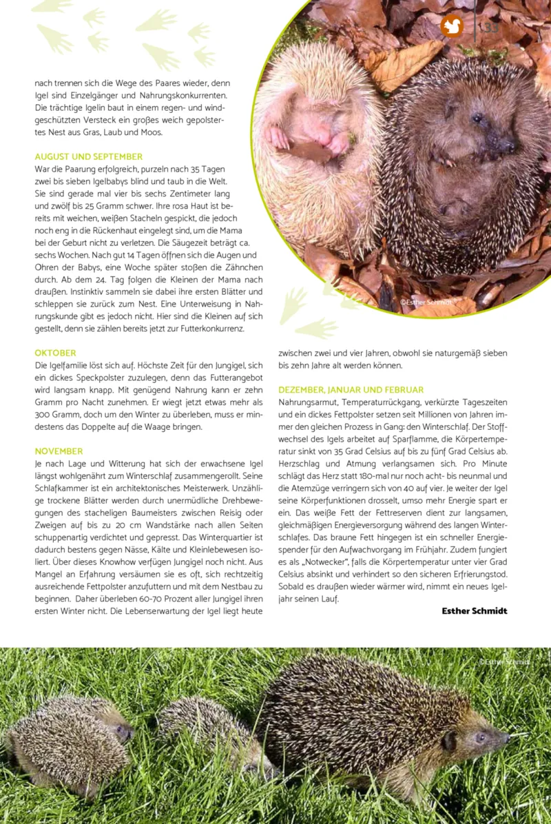 Zookauf Prospekt vom 23.03.2026, Seite 33