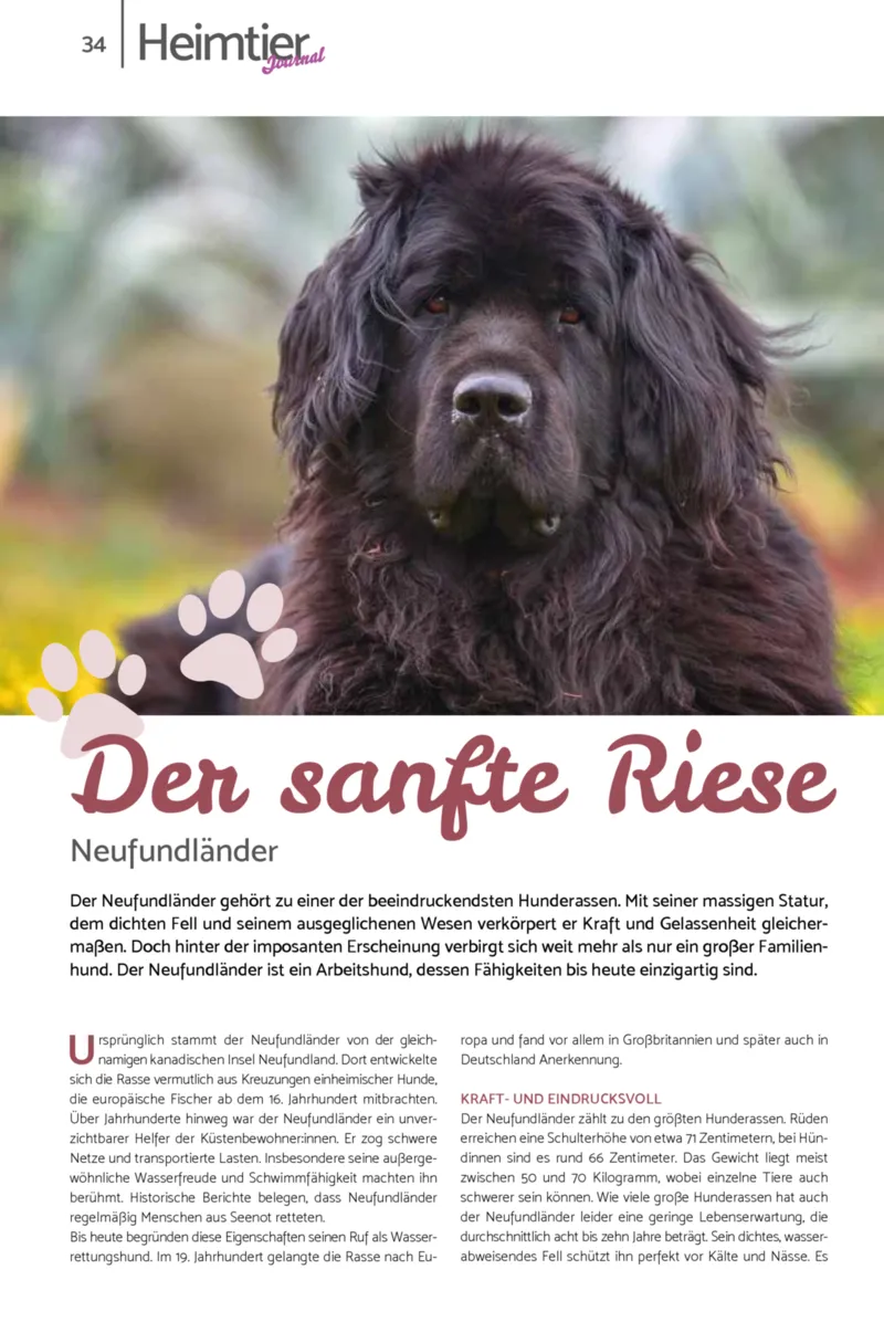 Zookauf Prospekt vom 23.03.2026, Seite 34