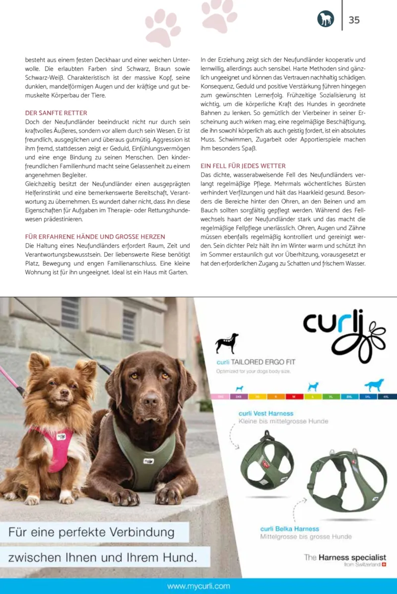 Zookauf Prospekt vom 23.03.2026, Seite 35