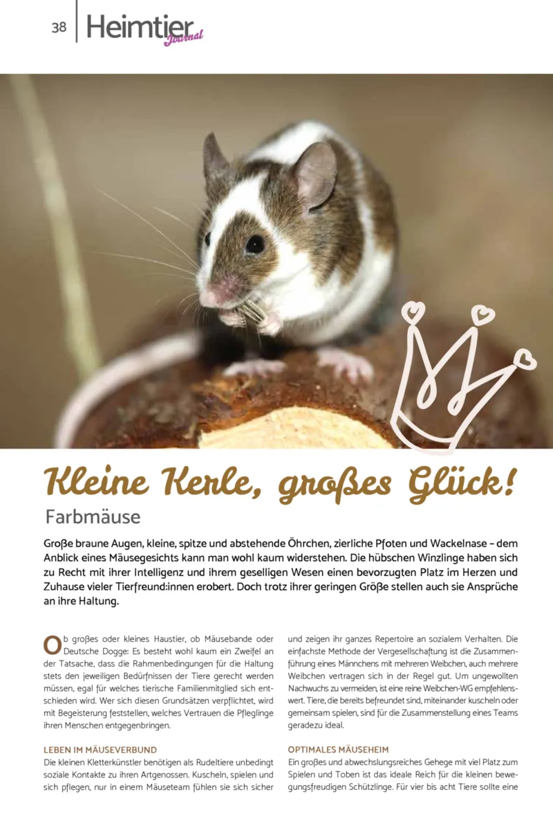 Zookauf Prospekt vom 23.03.2026, Seite 38