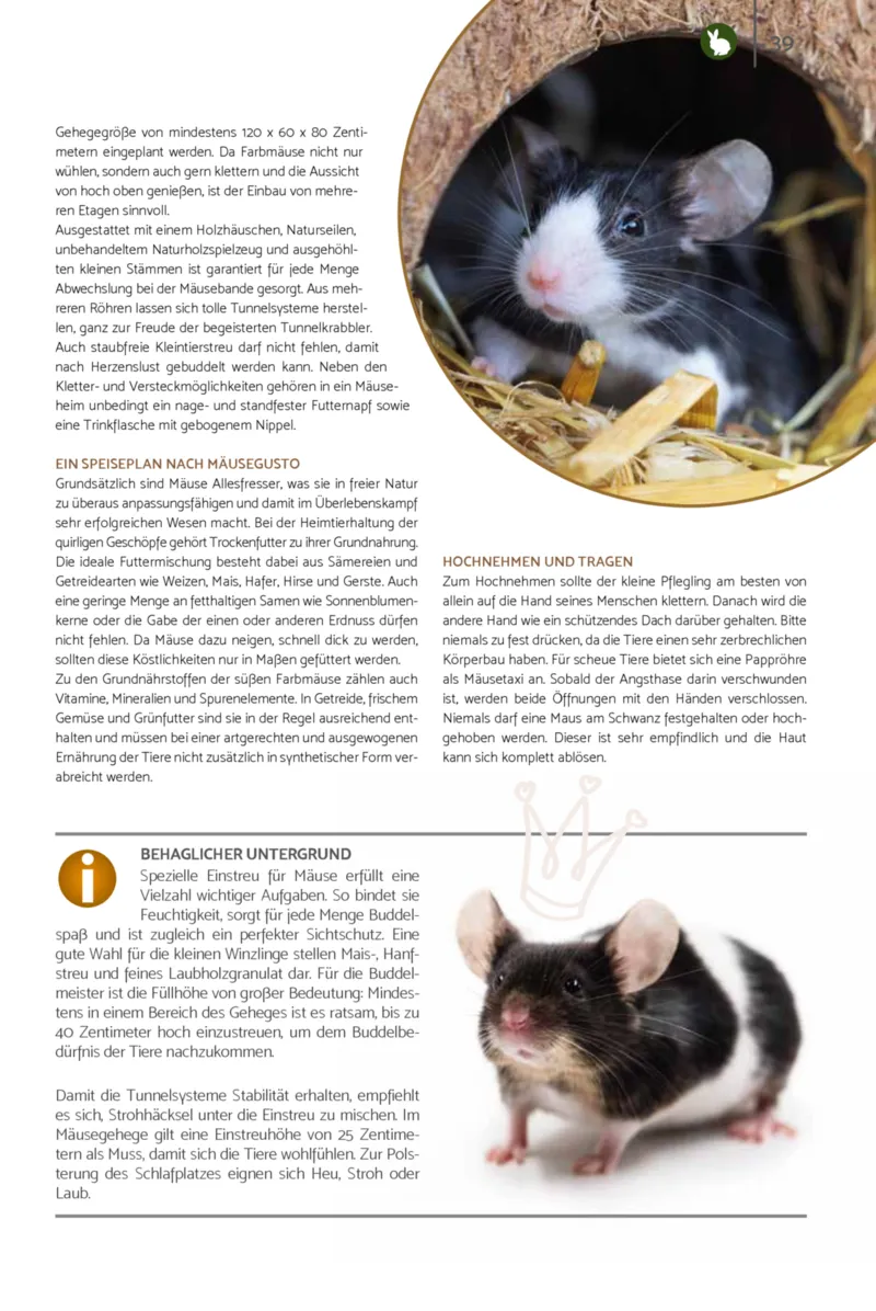 Zookauf Prospekt vom 23.03.2026, Seite 39