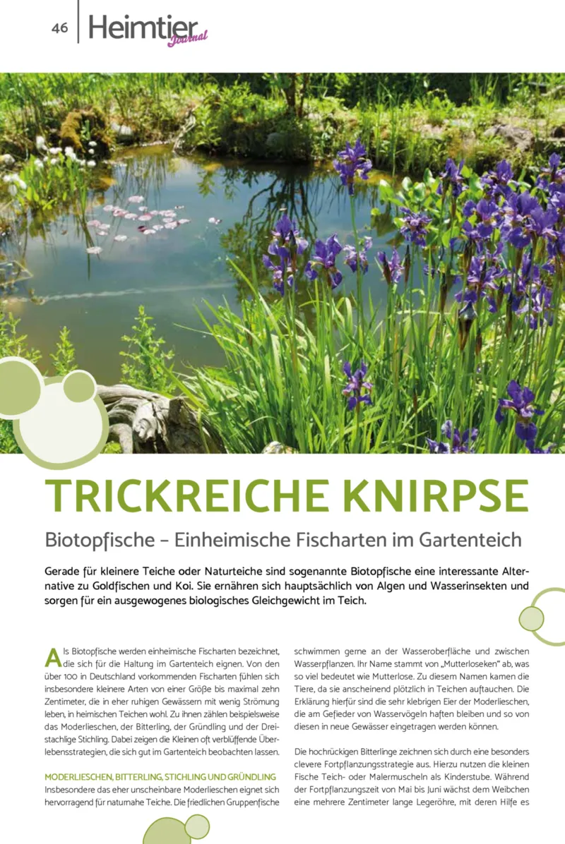 Zookauf Prospekt vom 23.03.2026, Seite 46