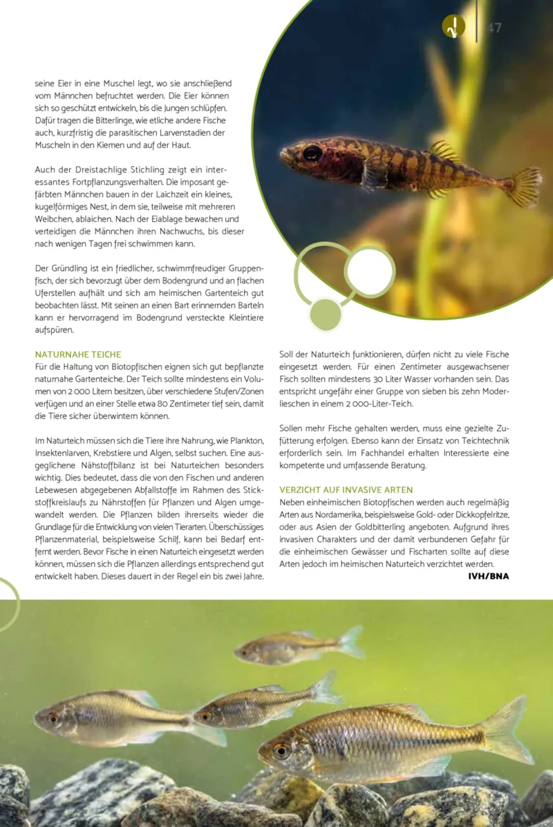 Zookauf Prospekt vom 23.03.2026, Seite 47