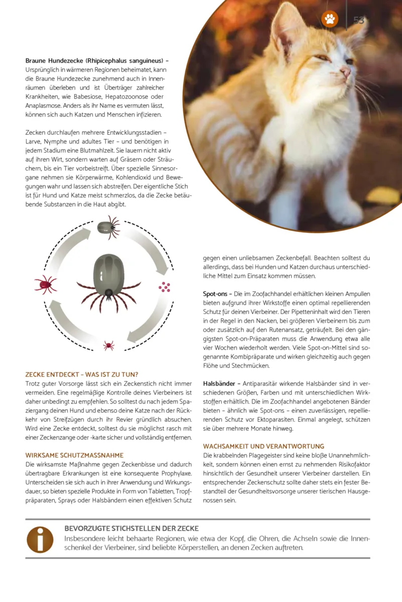 Zookauf Prospekt vom 23.03.2026, Seite 53