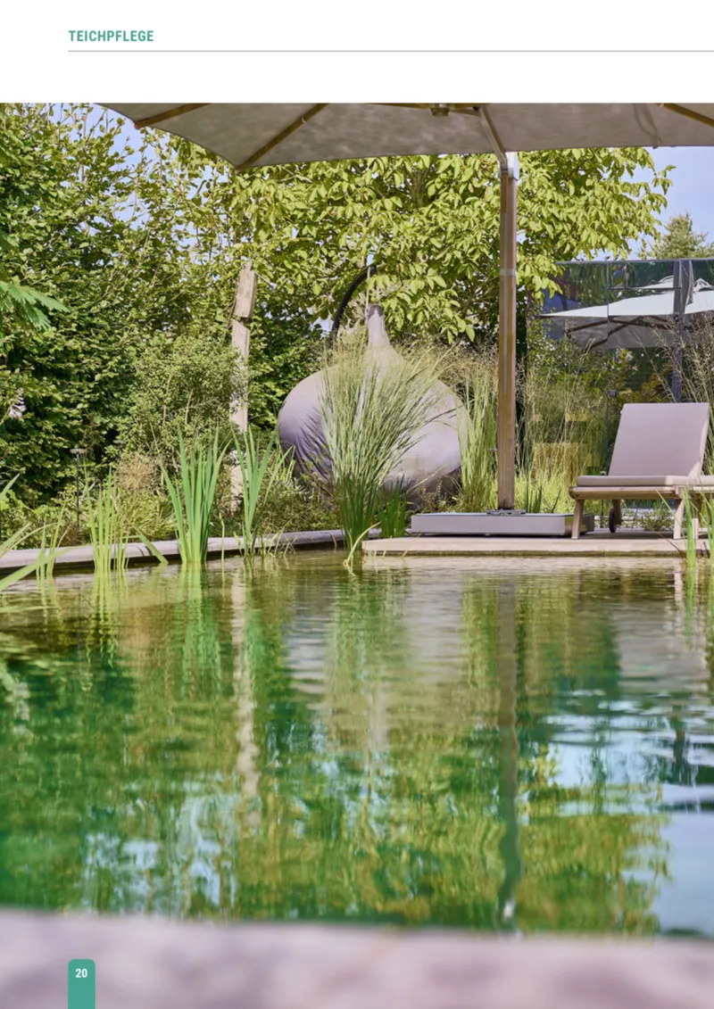 Zookauf Prospekt vom 23.03.2026, Seite 20