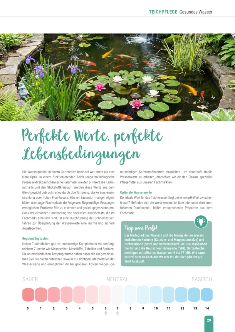 Zookauf Prospekt vom 23.03.2026, Seite 29