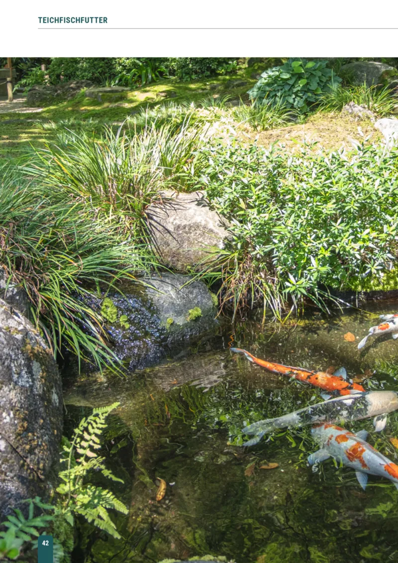 Zookauf Prospekt vom 23.03.2026, Seite 42