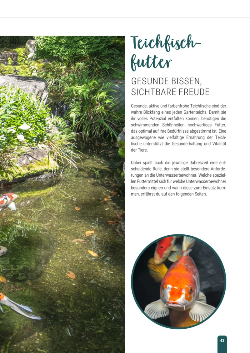 Zookauf Prospekt vom 23.03.2026, Seite 43