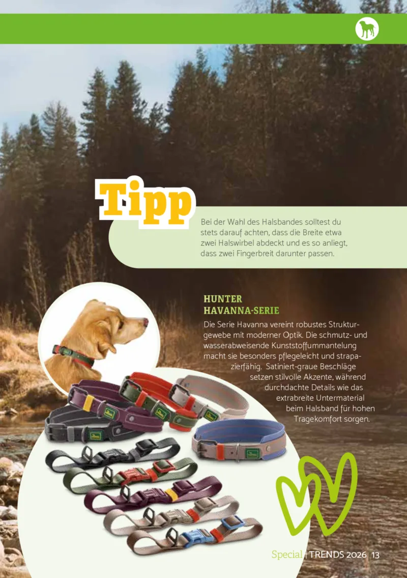 Zookauf Prospekt vom 01.04.2026, Seite 13