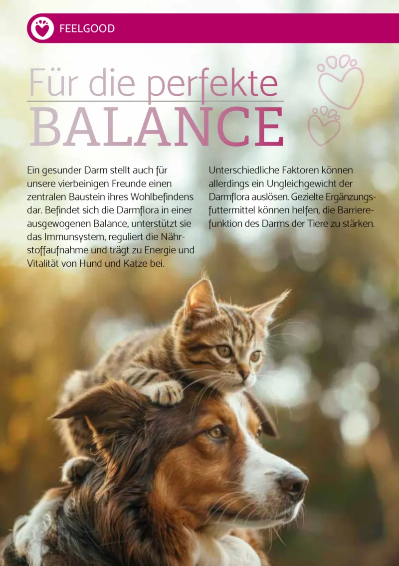 Zookauf Prospekt vom 01.04.2026, Seite 6