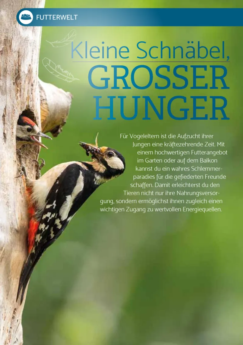 Zookauf Prospekt vom 01.04.2026, Seite 8