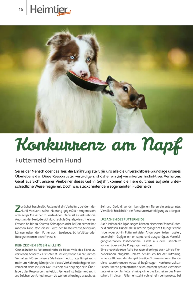 Zookauf Prospekt vom 18.05.2026, Seite 16
