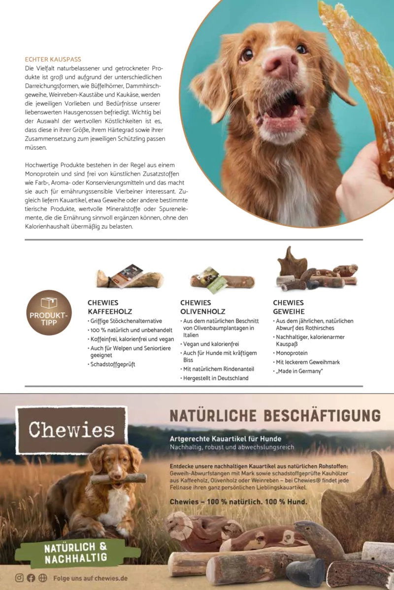 Zookauf Prospekt vom 18.05.2026, Seite 27