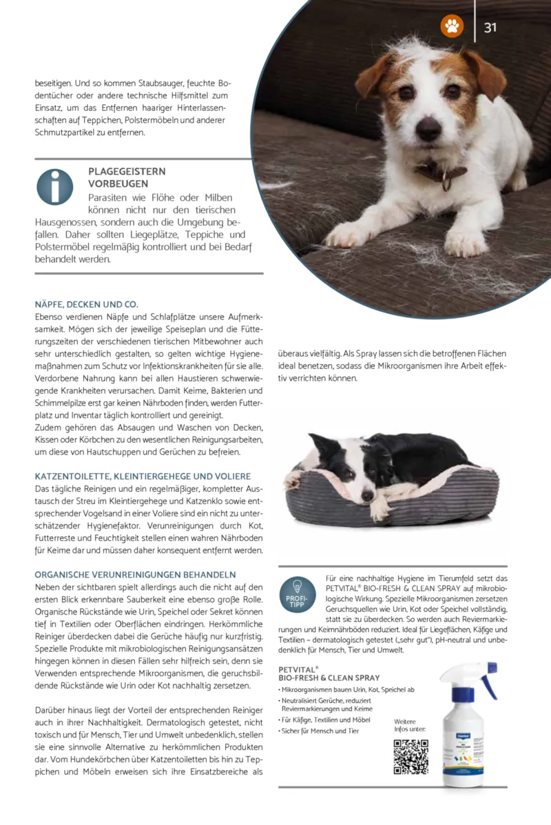 Zookauf Prospekt vom 18.05.2026, Seite 31