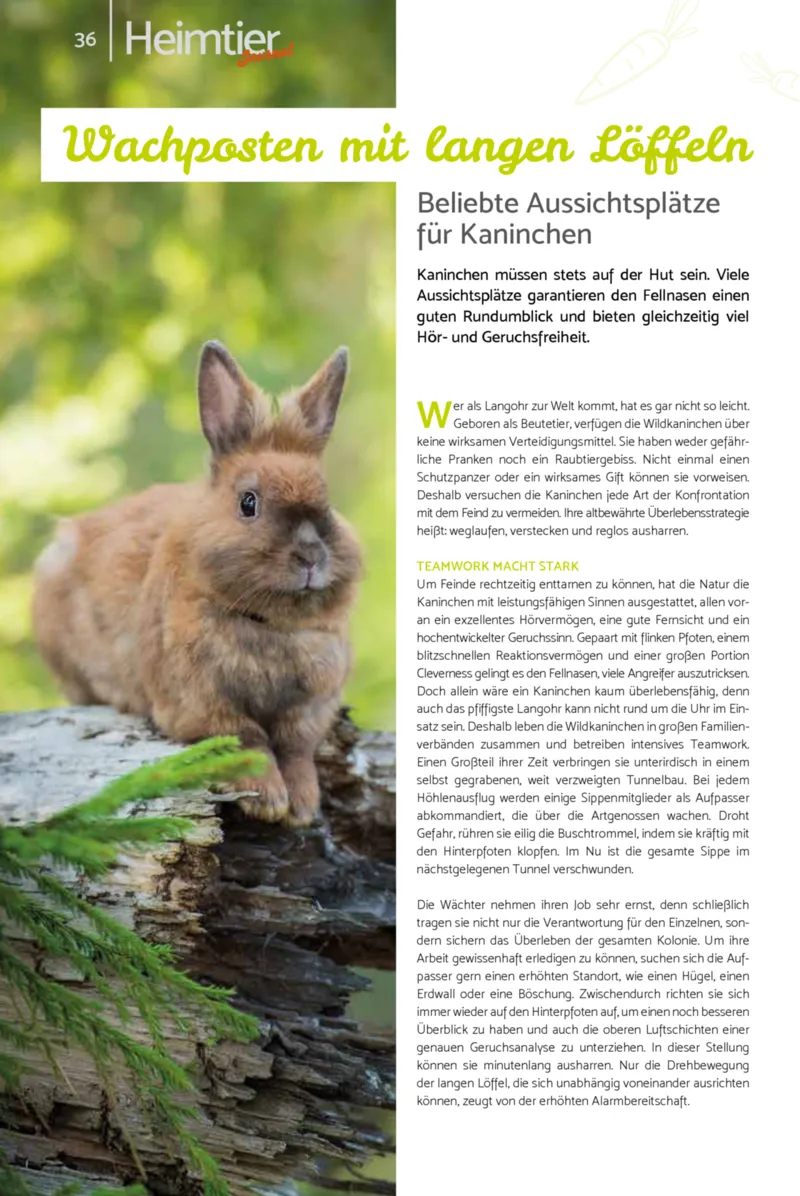 Zookauf Prospekt vom 18.05.2026, Seite 36