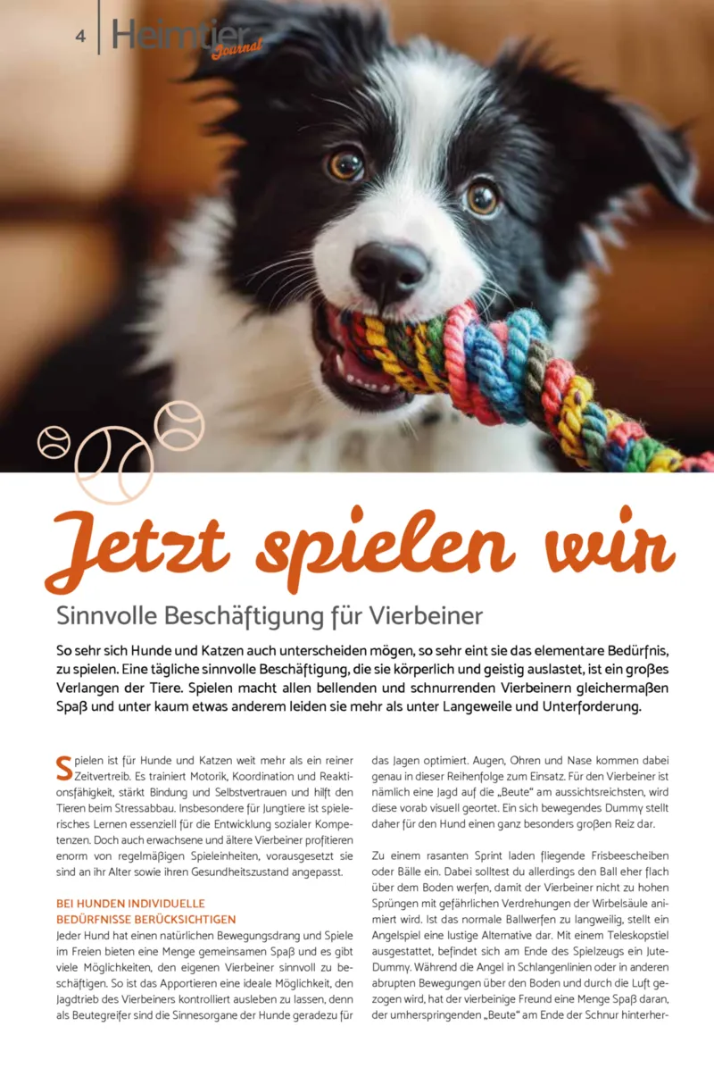 Zookauf Prospekt vom 18.05.2026, Seite 4