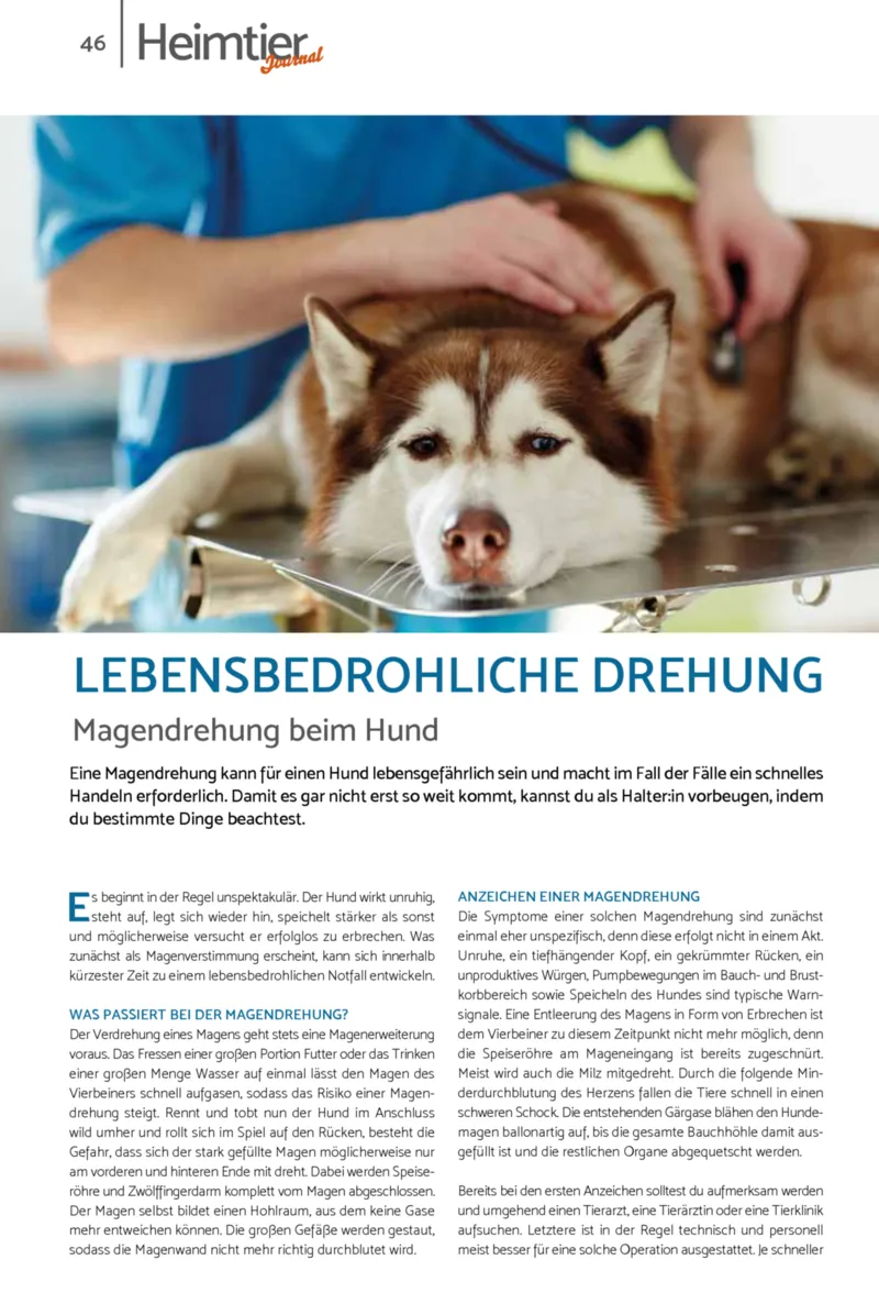 Zookauf Prospekt vom 18.05.2026, Seite 46