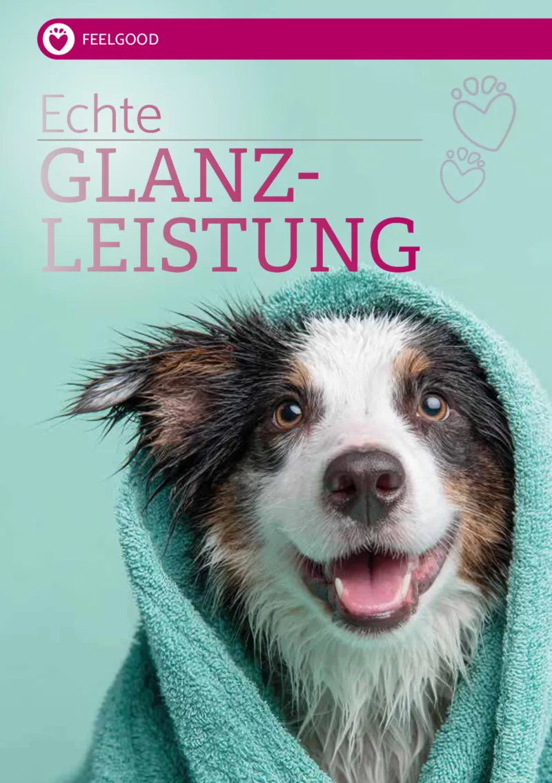 Zookauf Prospekt vom 18.05.2026, Seite 6