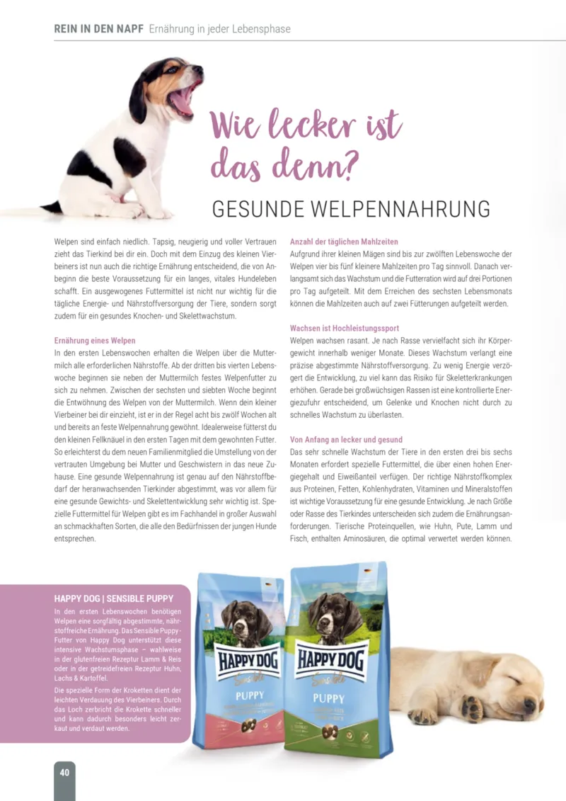 Zookauf Prospekt vom 18.05.2026, Seite 40