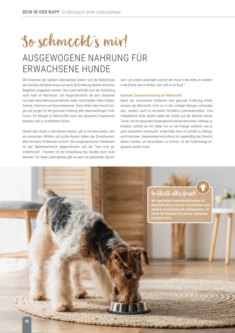 Zookauf Prospekt vom 18.05.2026, Seite 42