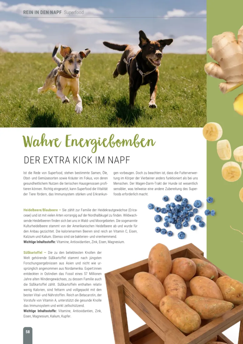 Zookauf Prospekt vom 18.05.2026, Seite 58