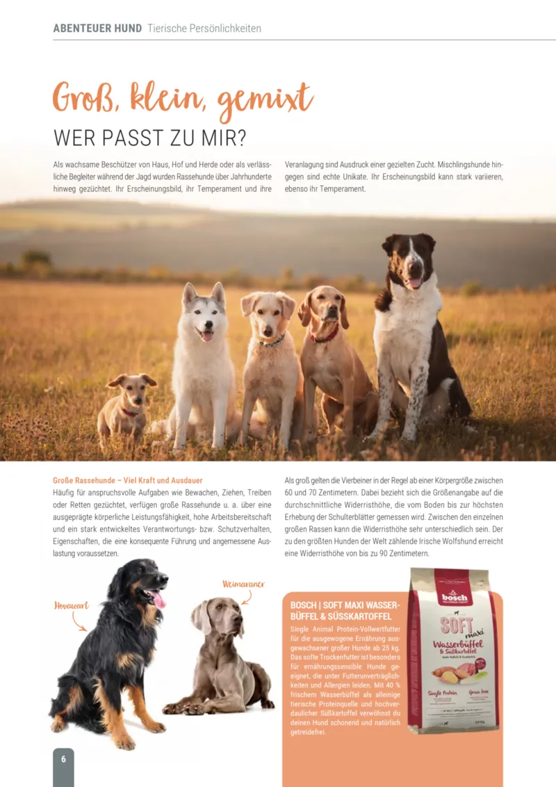 Zookauf Prospekt vom 18.05.2026, Seite 6
