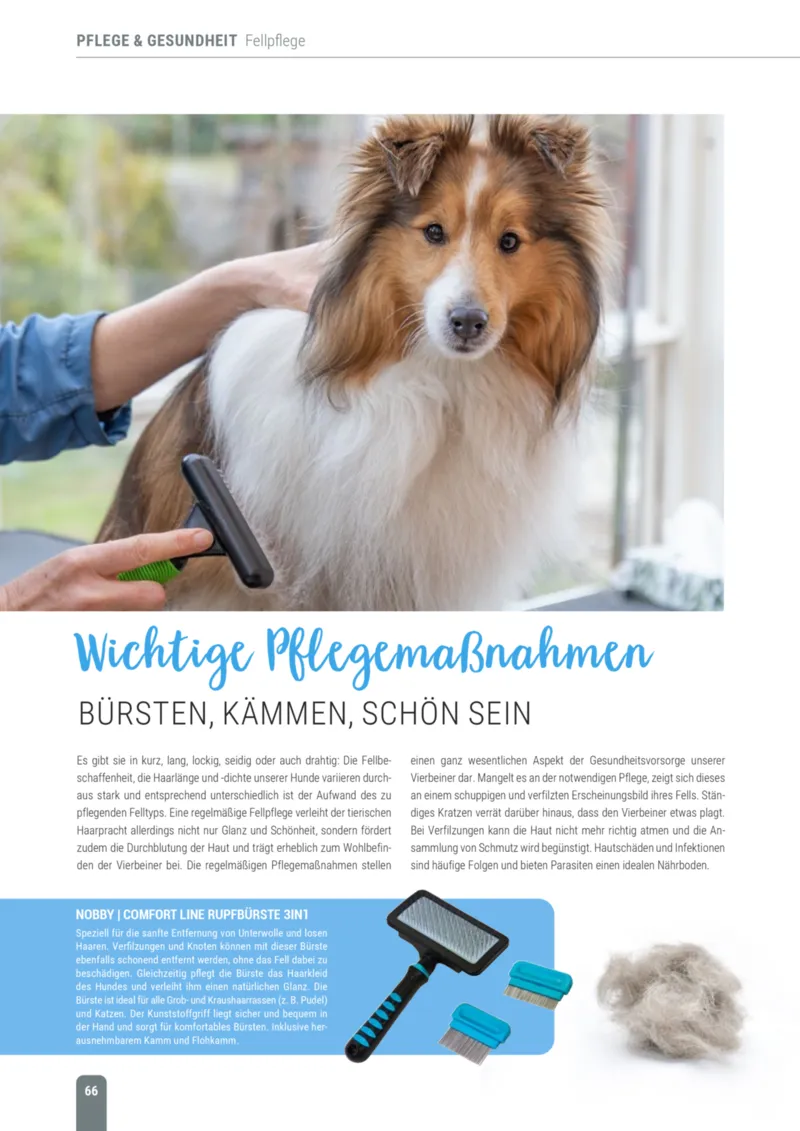 Zookauf Prospekt vom 18.05.2026, Seite 66