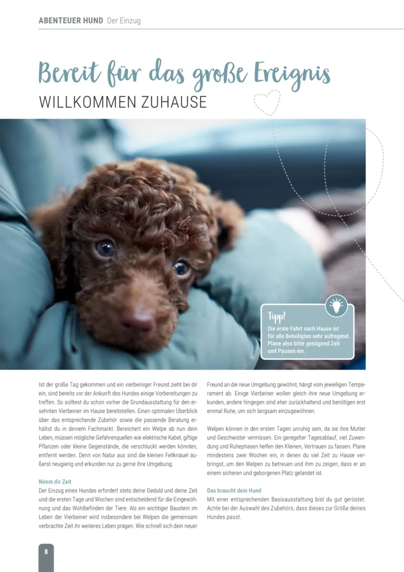 Zookauf Prospekt vom 18.05.2026, Seite 8