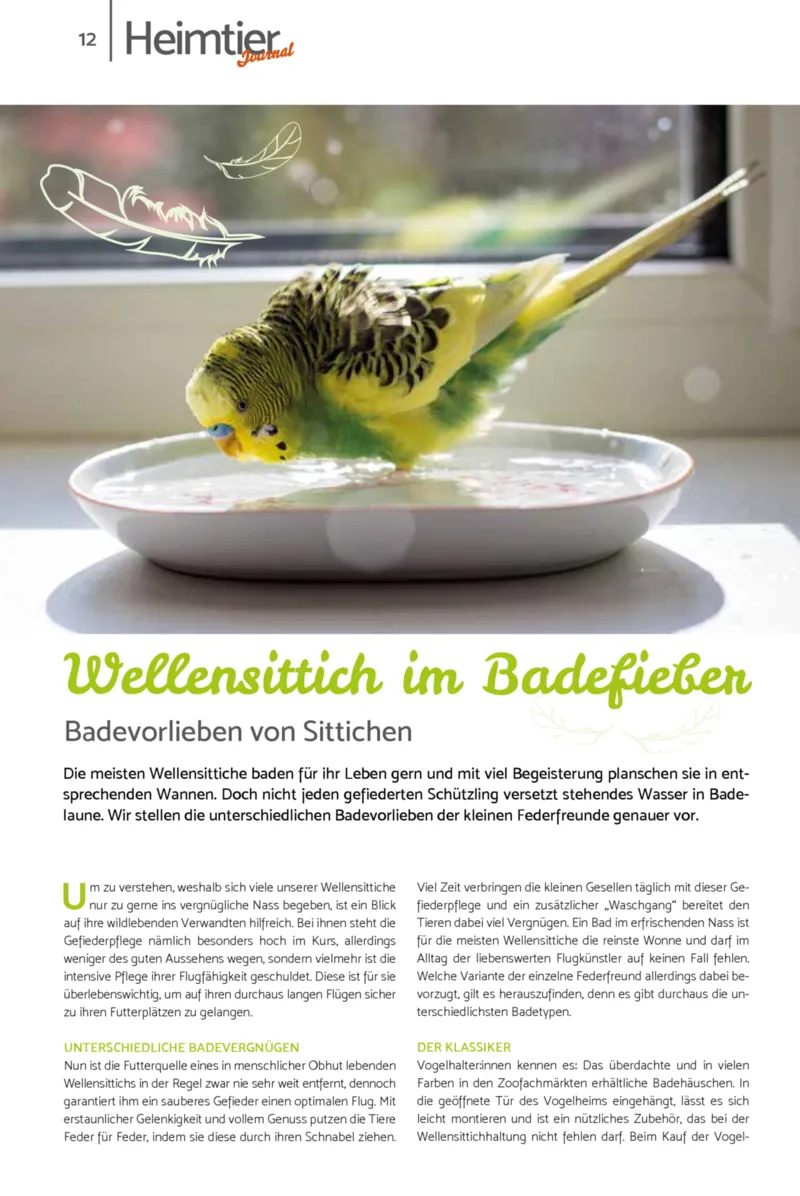 Zookauf Prospekt vom 01.07.2026, Seite 12