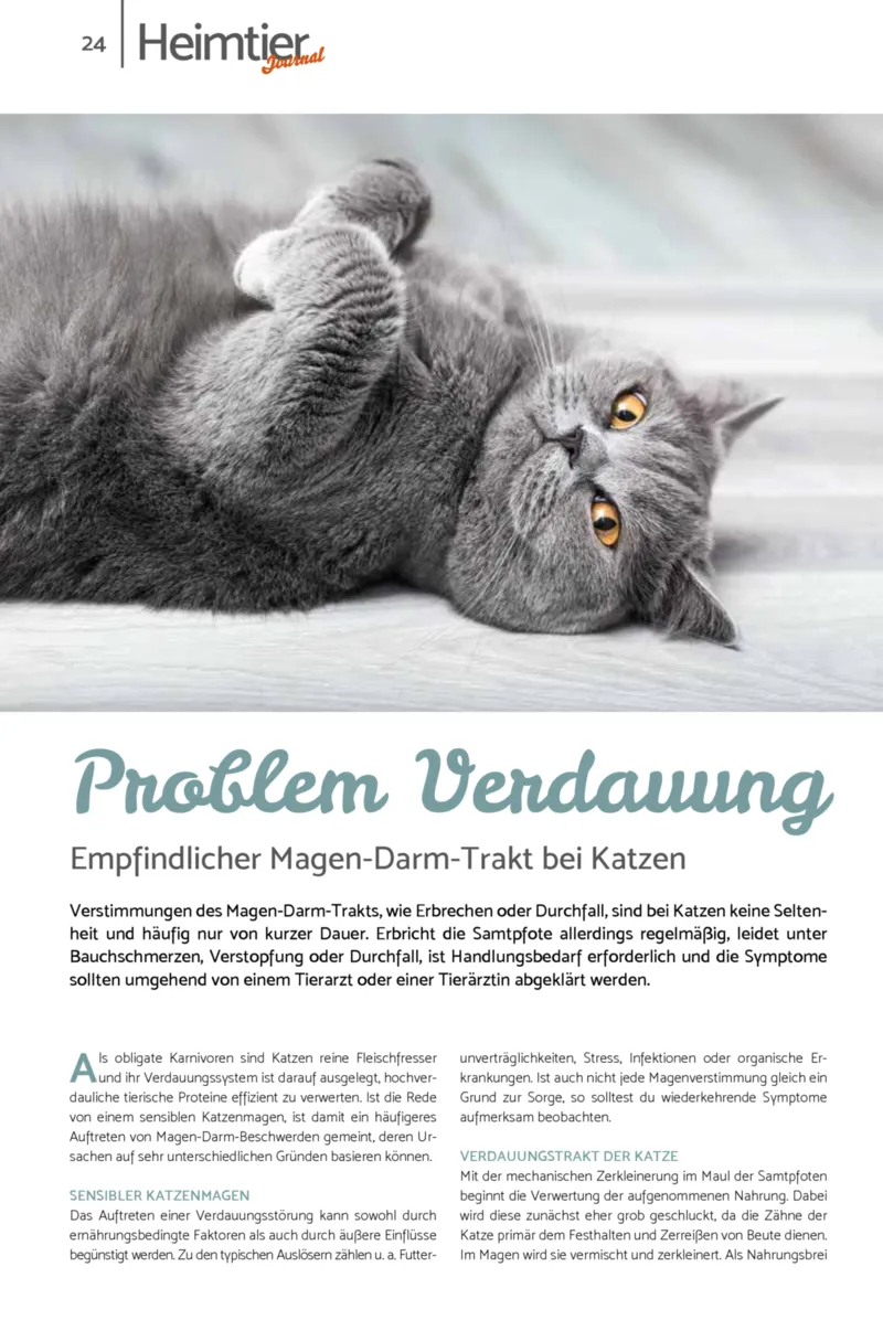 Zookauf Prospekt vom 01.07.2026, Seite 24