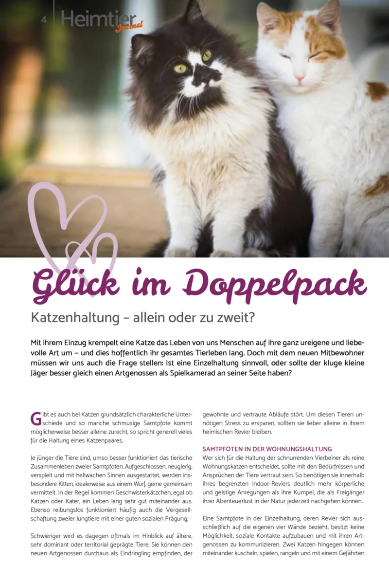 Zookauf Prospekt vom 01.07.2026, Seite 4