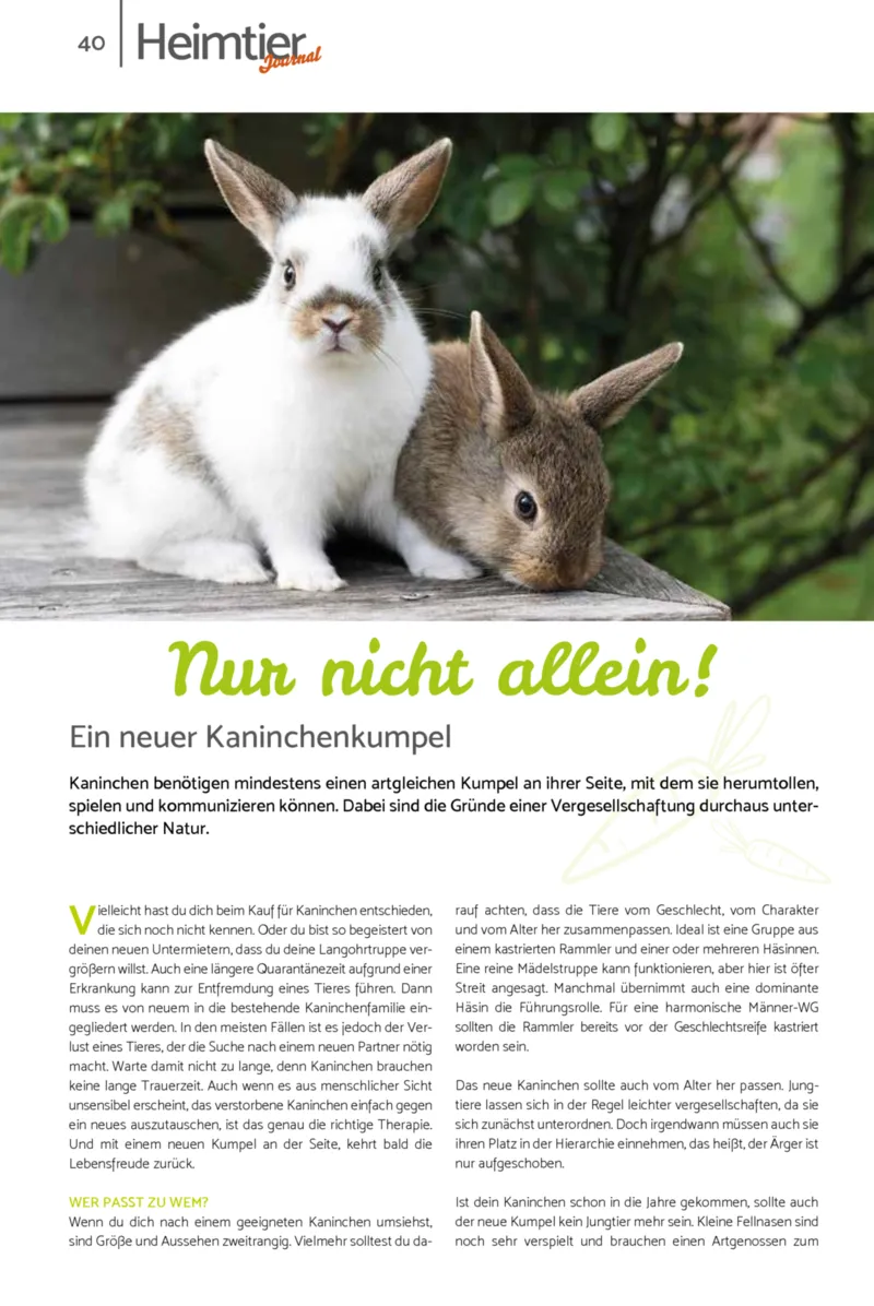 Zookauf Prospekt vom 01.07.2026, Seite 40