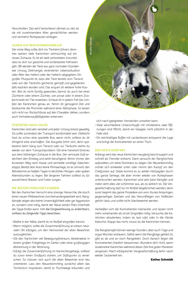Zookauf Prospekt vom 01.07.2026, Seite 41