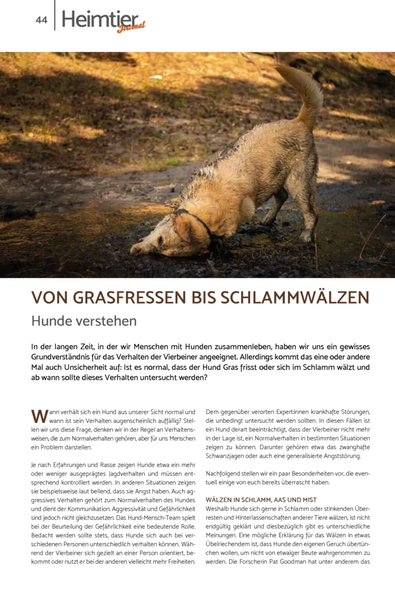 Zookauf Prospekt vom 01.07.2026, Seite 44